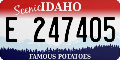 ID license plate E247405
