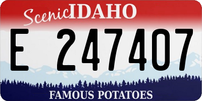 ID license plate E247407
