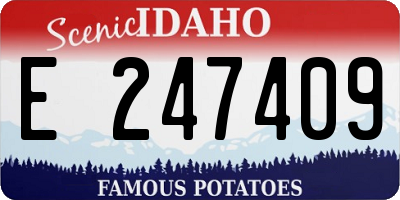 ID license plate E247409