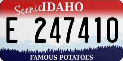 ID license plate E247410