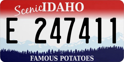 ID license plate E247411
