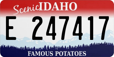 ID license plate E247417