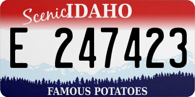 ID license plate E247423
