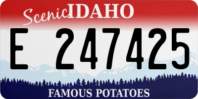 ID license plate E247425