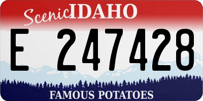 ID license plate E247428