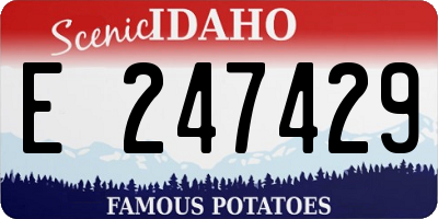 ID license plate E247429