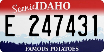 ID license plate E247431