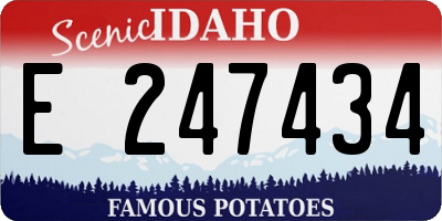 ID license plate E247434