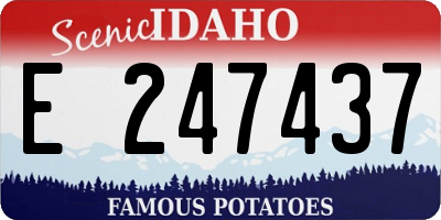 ID license plate E247437