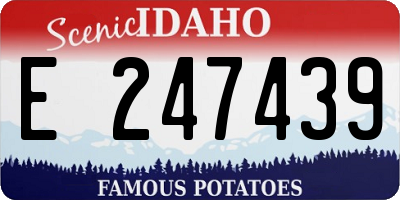 ID license plate E247439