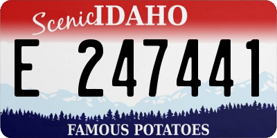 ID license plate E247441