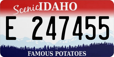 ID license plate E247455