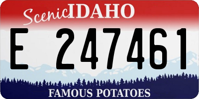 ID license plate E247461