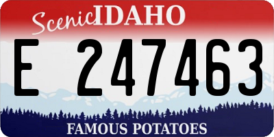 ID license plate E247463