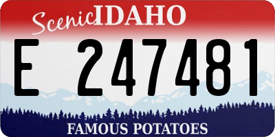 ID license plate E247481