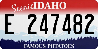 ID license plate E247482