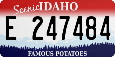 ID license plate E247484