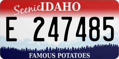 ID license plate E247485