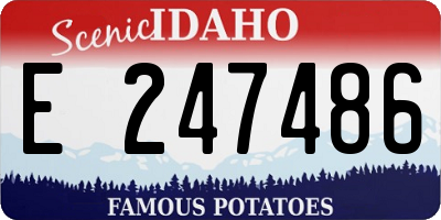 ID license plate E247486