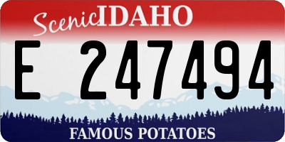 ID license plate E247494
