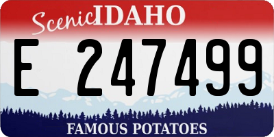 ID license plate E247499