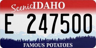 ID license plate E247500