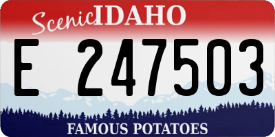 ID license plate E247503