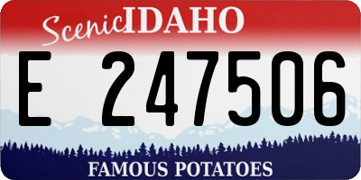 ID license plate E247506