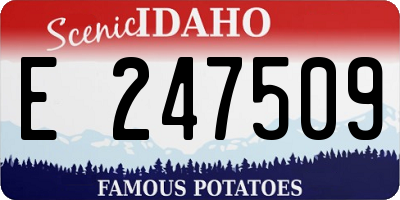ID license plate E247509