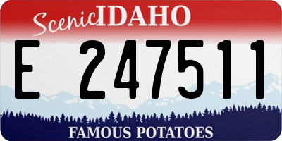 ID license plate E247511