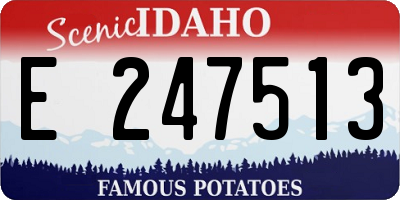 ID license plate E247513