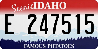 ID license plate E247515