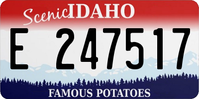 ID license plate E247517