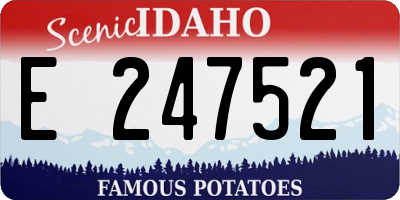 ID license plate E247521