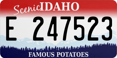 ID license plate E247523