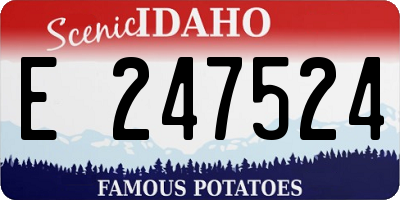 ID license plate E247524