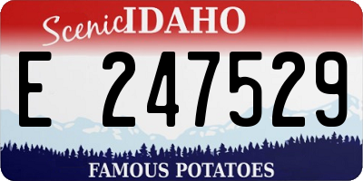 ID license plate E247529
