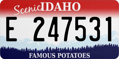 ID license plate E247531