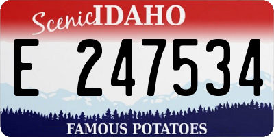 ID license plate E247534