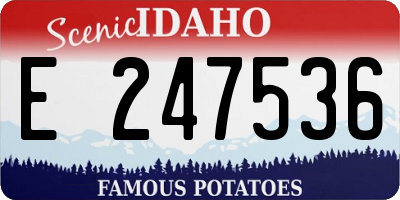 ID license plate E247536