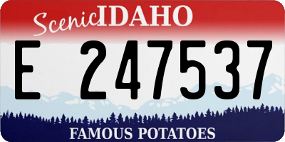 ID license plate E247537