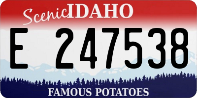 ID license plate E247538