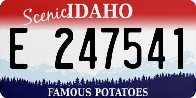 ID license plate E247541