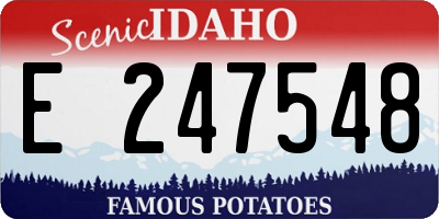 ID license plate E247548