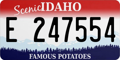 ID license plate E247554