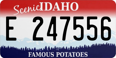 ID license plate E247556