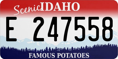 ID license plate E247558