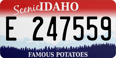 ID license plate E247559