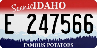 ID license plate E247566