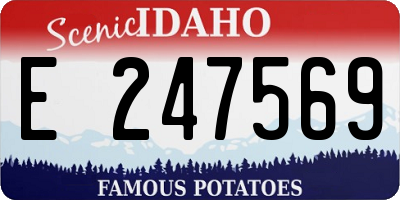 ID license plate E247569